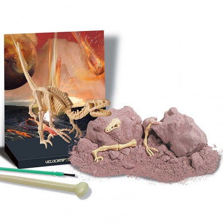 Kidzlabs Kit Geológico de un Velociraptor