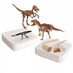 Kit de Excavación de 2 Dinosaurios